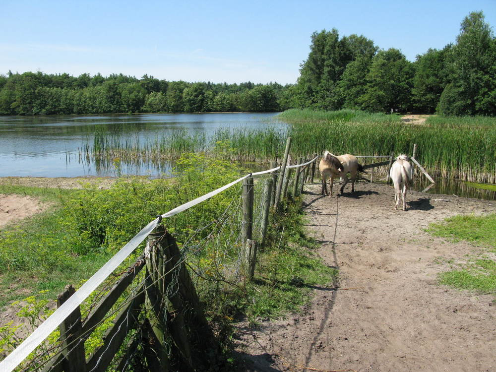 de Kuinderplas