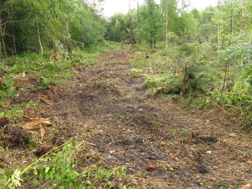 Naar links kijkend. Veel bomen zijn omgezaagd