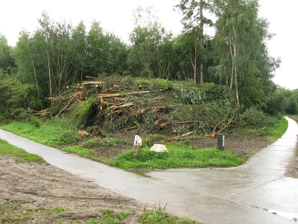 Wij gaan hier rechtsaf maar zien veel boomstammen liggen