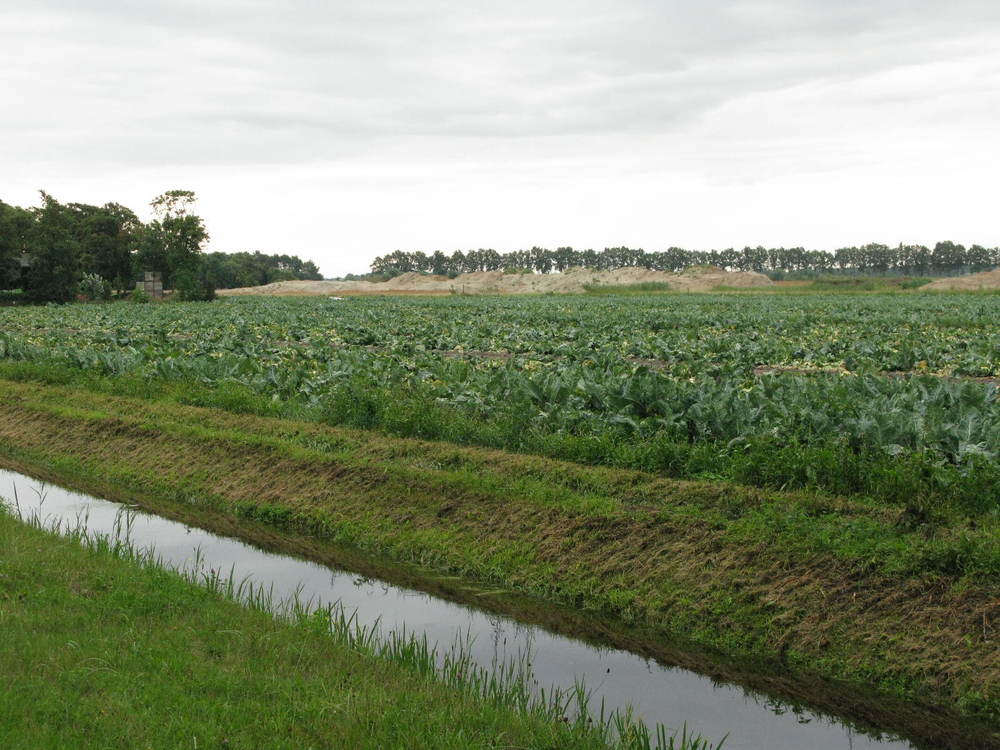 Schoterveld gezien vanaf het Schoterpad