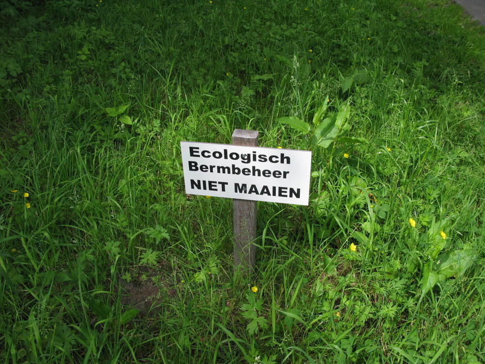 Bermbeheer