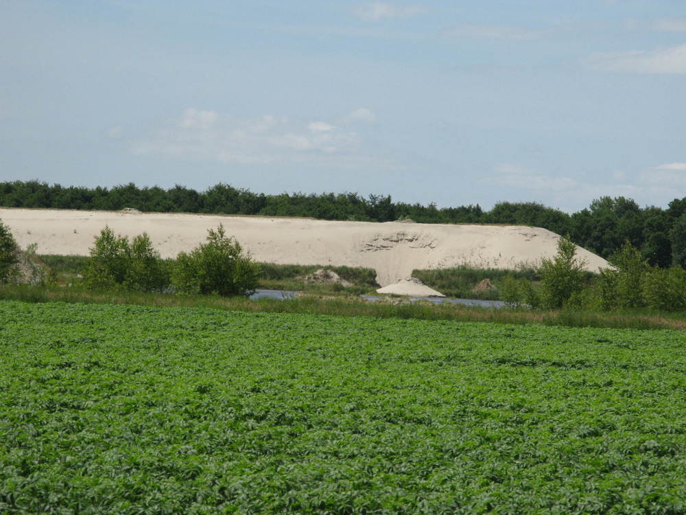 Een deel van een plas is te zien.