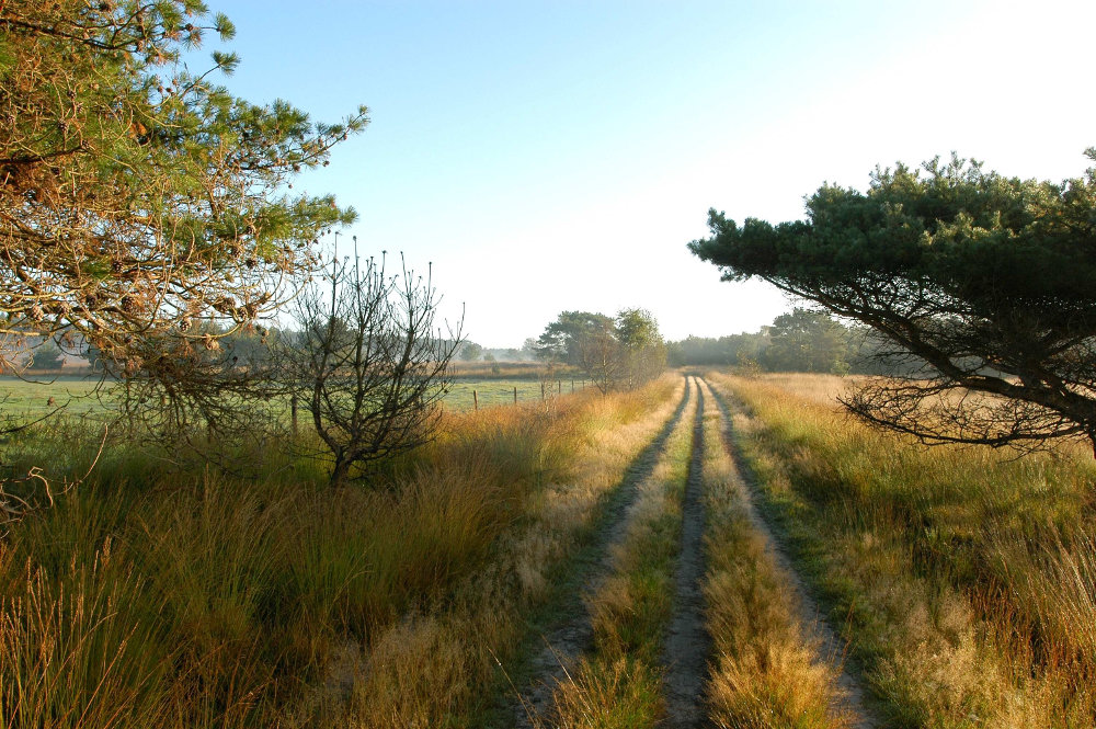 zandweg ter hoogte van 's Heerenven