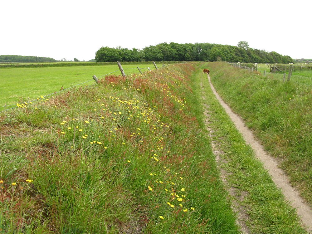 met begraafplaats op achtergrond