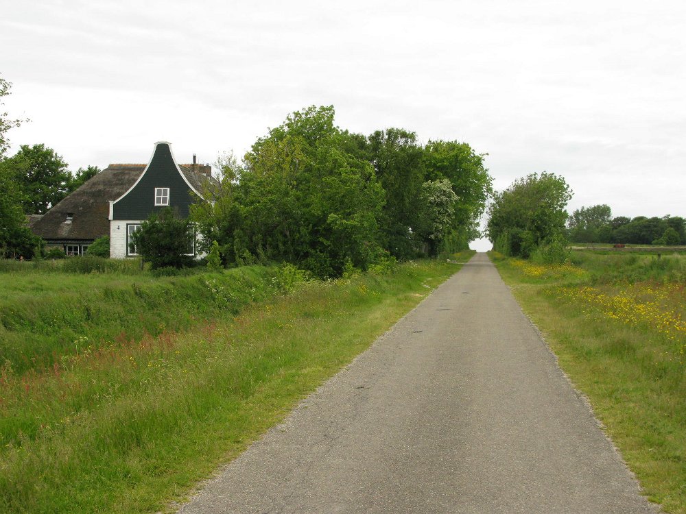 Doorkijk op de Waterweg