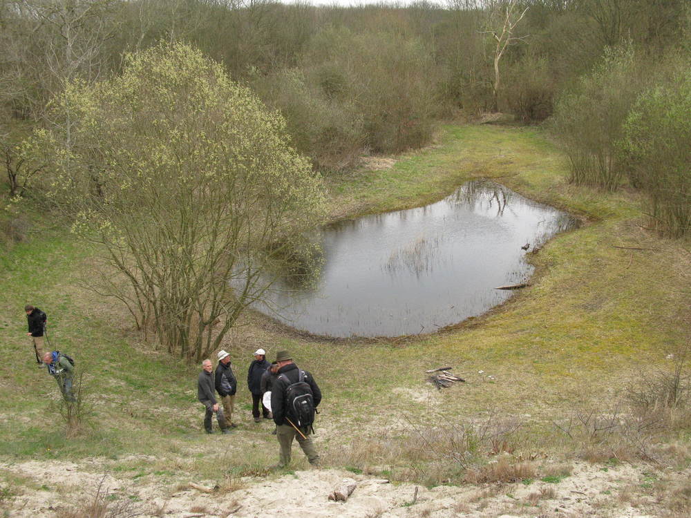 Bijenkuil, poel