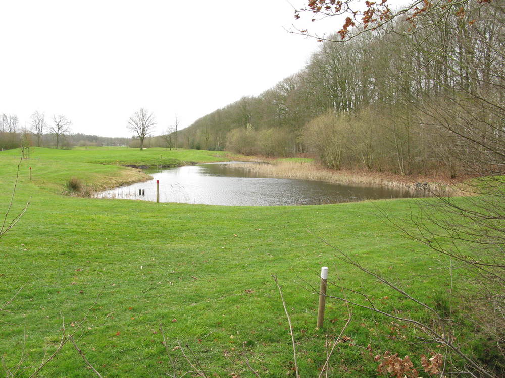 Waterpartijen vlakbij de ingang