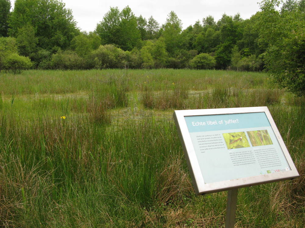 Info-bord en ondiepe plas met veel rus.