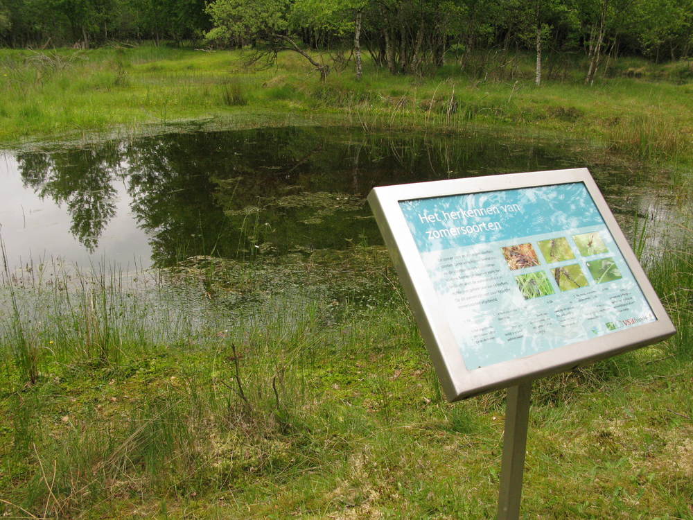 Een info-bord over typische zomersoorten libellen.